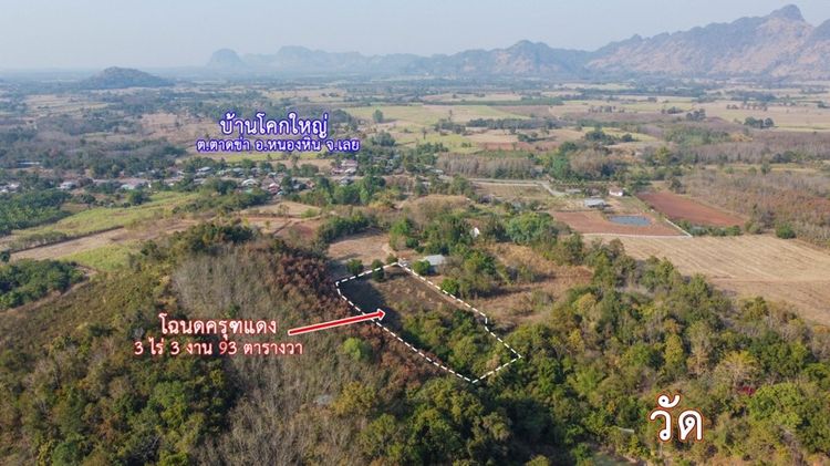 ที่สวน รูปที่ 4