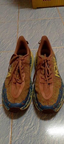 น้ำตาล ผ้าใบ รองเท้าผ้าใบ UK 10.5 | EU 45 1/3 | US 11 อื่นๆ รองเท้ามือสองสภาพใหม่