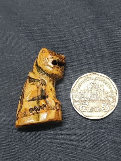 เสือหลวงพ่อปาน พิมพ์อ้าปากตัวผู้ ตัวใหญ่สง่า รูปที่ 2