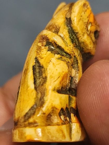 เสือหลวงพ่อปาน พิมพ์อ้าปากตัวผู้ ตัวใหญ่สง่า รูปที่ 15