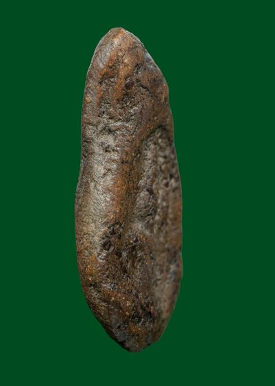 พระพันวษากรุวัดพระรูป รูปที่ 3