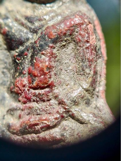 พระเทริดขนนก กรุวัดป่าเลไลยก์ สุพรรณบุรี เนื้อชินสนิมแดง รูปที่ 5