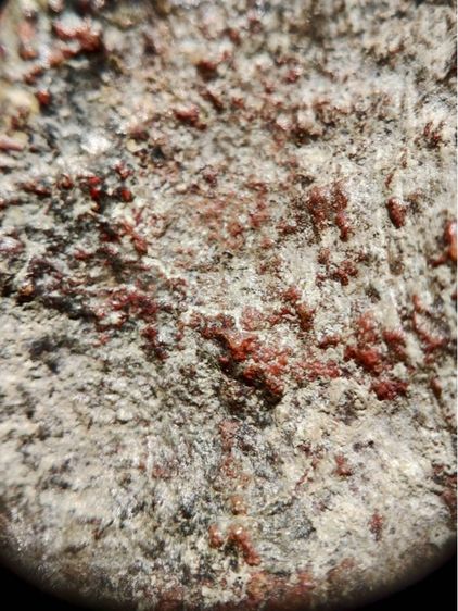 พระเทริดขนนก กรุวัดป่าเลไลยก์ สุพรรณบุรี เนื้อชินสนิมแดง รูปที่ 9