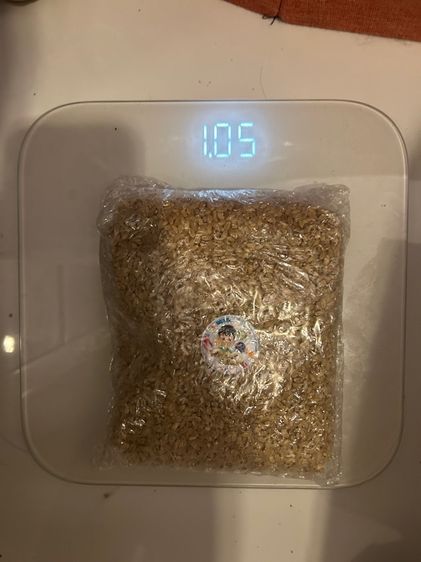 เมล็ดข้าวสาลี 1 กิโลกรัม รูปที่ 2