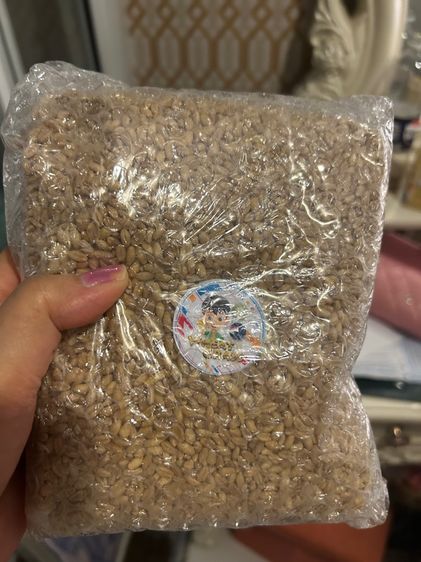 เมล็ดข้าวสาลี 1 กิโลกรัม