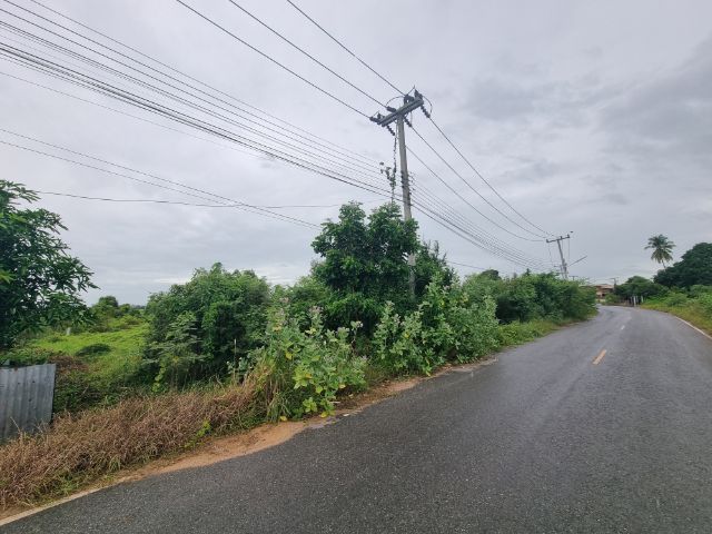 ใช่ ขาย​ที่ดิน​หลังดอนท่า​ชัย​ สวยมาก​ 6 ไร่​ ติด​ถนนลาดยาง​ ใกล้​ทั้งตลาด​ตัว​เมือง​ชัยนาท​ ใกล้​ทั้ง​แยก​ไฟแดง​สะพาน​ใหม่​ชัยนาท​  แบ่งขายได้ รูปที่ 4