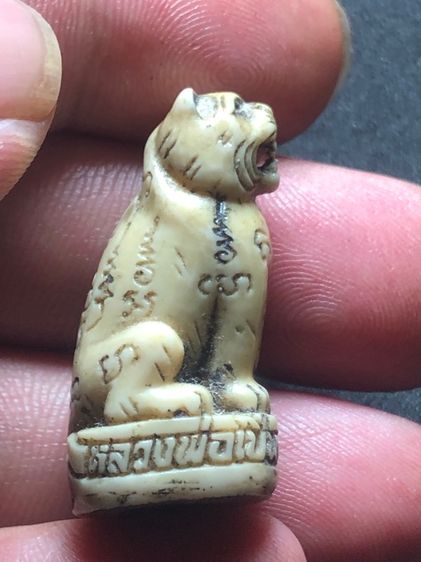 เสือเราอ้นหลวงพ่อเปิ่น รูปที่ 4