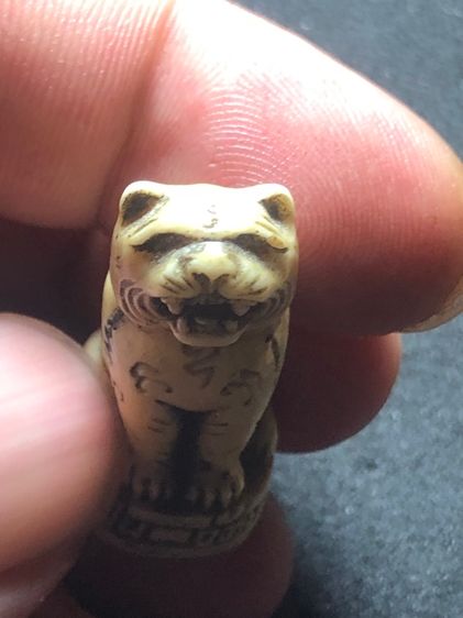 เสือเราอ้นหลวงพ่อเปิ่น รูปที่ 8