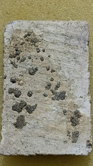 พระสมเด็จ ตามภาพ รูปที่ 2