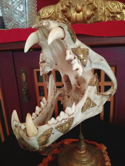 แท้เก่าโบราณเสริมอำนาจบารมีแต่งลายทองเหลืองพร้อมฐานทองเหลืองแท้ รูปที่ 7