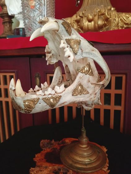 แท้เก่าโบราณเสริมอำนาจบารมีแต่งลายทองเหลืองพร้อมฐานทองเหลืองแท้ รูปที่ 10