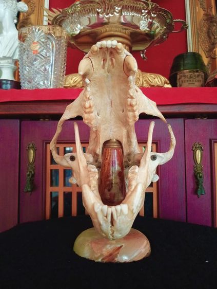 แท้ขนาดใหญ่บนฐานหินอ่อนเสริมอำนาจบารมีเป็นที่น่าเกรงขาม รูปที่ 3