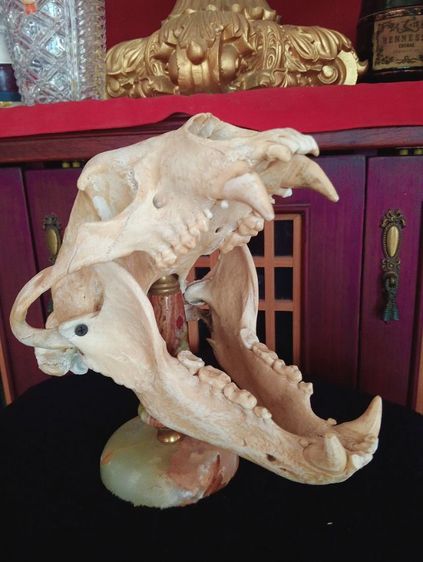 แท้ขนาดใหญ่บนฐานหินอ่อนเสริมอำนาจบารมีเป็นที่น่าเกรงขาม รูปที่ 7