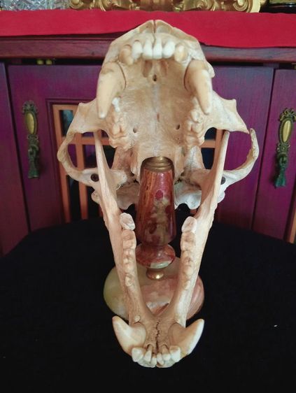 แท้ขนาดใหญ่บนฐานหินอ่อนเสริมอำนาจบารมีเป็นที่น่าเกรงขาม รูปที่ 8