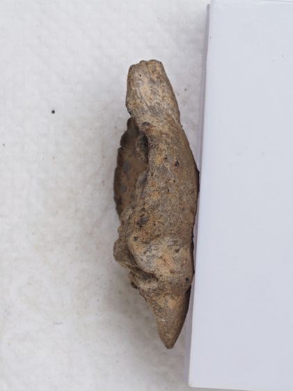 พระรอด 21016916 รูปที่ 5