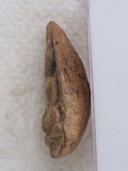 พระเนื้อดิน 21016919 รูปที่ 5