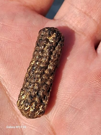 ตระกรุดไม่ทราบที่