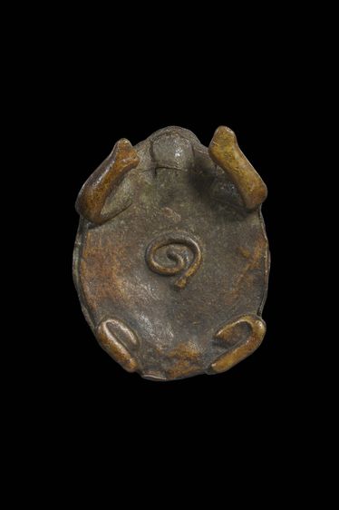 เต่าเก่าๆ รูปที่ 3