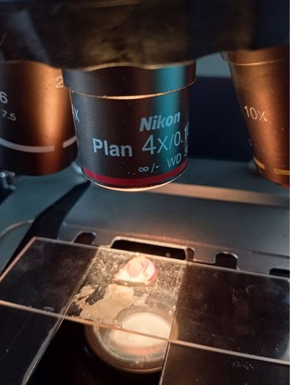 กล้องจุลทรรศน์นิคอนมือสอง รูปที่ 9