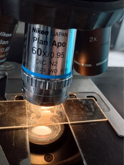 กล้องจุลทรรศน์นิคอนมือสอง รูปที่ 13