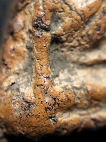 พระนางพญาพิมพ์สังฆาฏิพิษณุโลกครับ รูปที่ 6