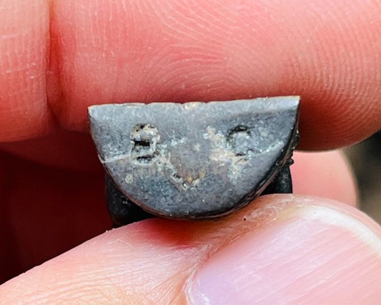 พระพิฆเนศ วัดทุ่งเสรี รูปที่ 4