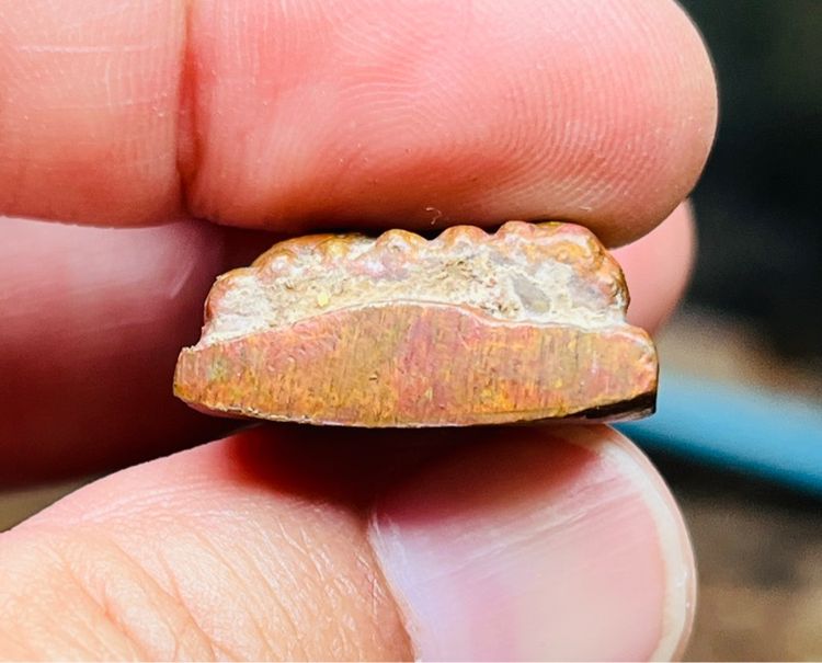 หลวงพ่อทวด รูปที่ 4