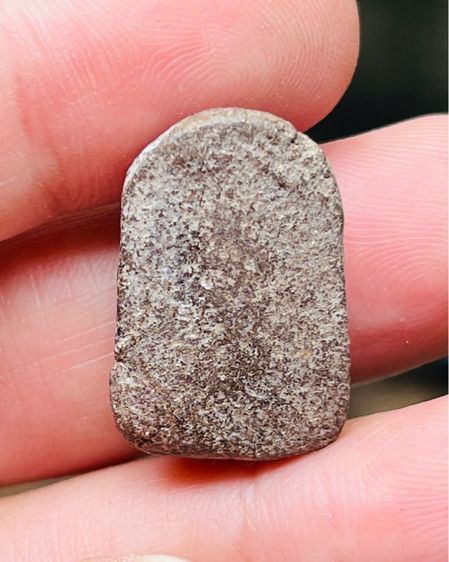 หลวงปู่บุญ วัดกลางบางแก้ว รูปที่ 2