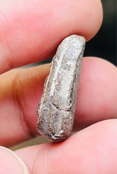 หลวงปู่บุญ วัดกลางบางแก้ว รูปที่ 5