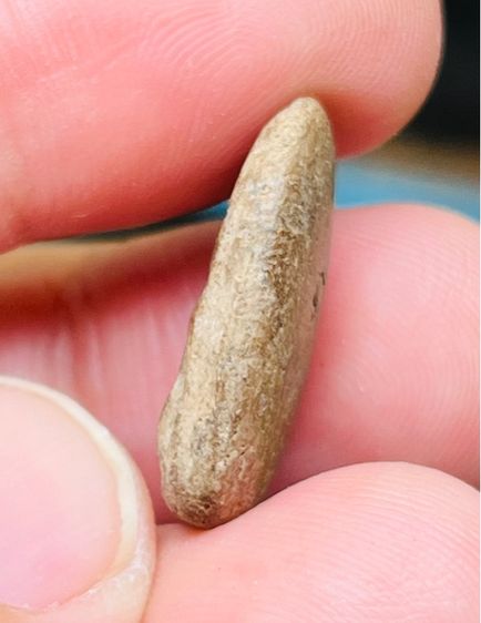 หลวงปู่บุญ วัดกลางบางแก้ว รูปที่ 3