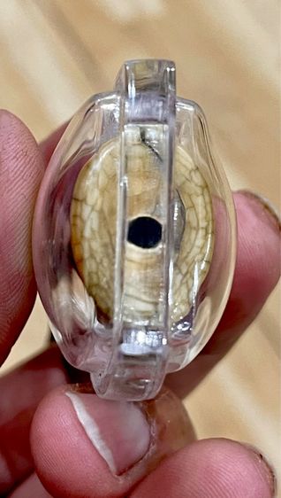 เสือหลวงพ่อปาน รูปที่ 5