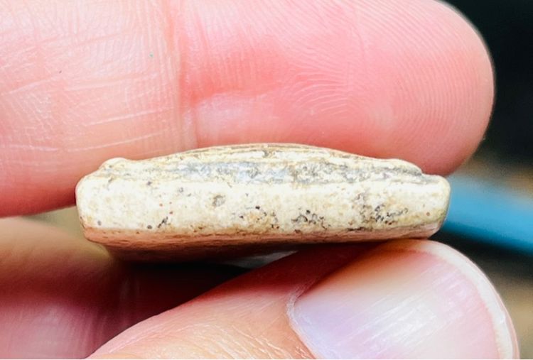 พระสมเด็จ วัดเกศไชโย รูปที่ 4