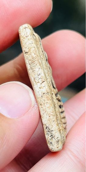 พระสมเด็จ วัดเกศไชโย รูปที่ 3