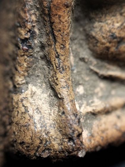 พระนางพญาพิมพ์เข่าตรงพิษณุโลกครับ รูปที่ 15