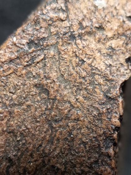 พระนางพญาพิมพ์เข่าตรงพิษณุโลกครับ รูปที่ 16