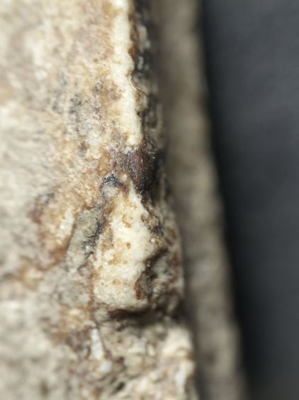 พระสมเด็จเนื้อสวยหนึกนุ่มครับ รูปที่ 11