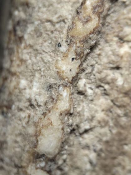 พระสมเด็จเนื้อสวยหนึกนุ่มครับ รูปที่ 10