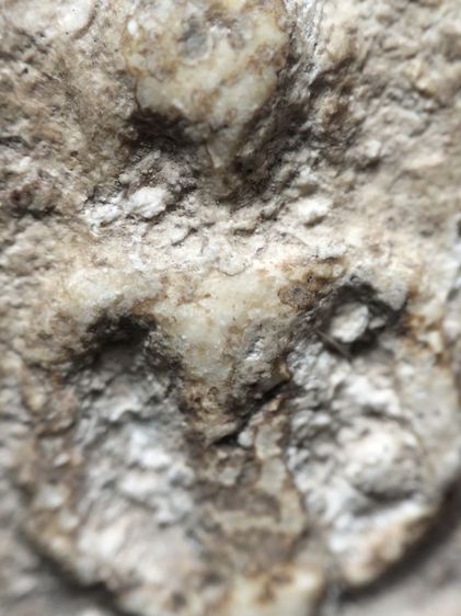 พระสมเด็จเนื้อสวยหนึกนุ่มครับ รูปที่ 7