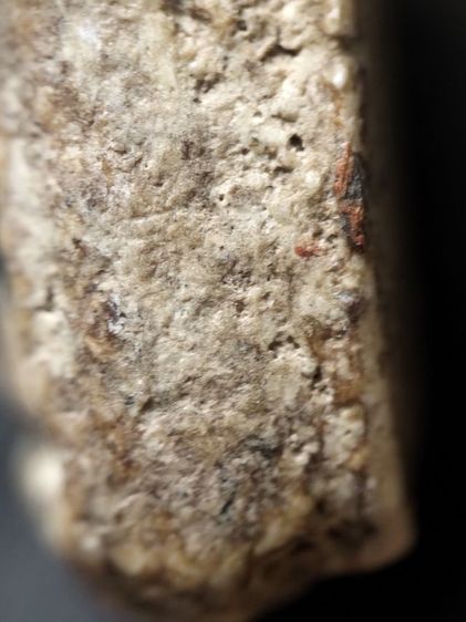 พระสมเด็จเนื้อสวยหนึกนุ่มครับ รูปที่ 13