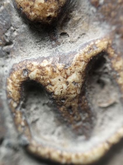 พระสมเด็จเก่าเก็บผิวหิ้งครับ รูปที่ 8