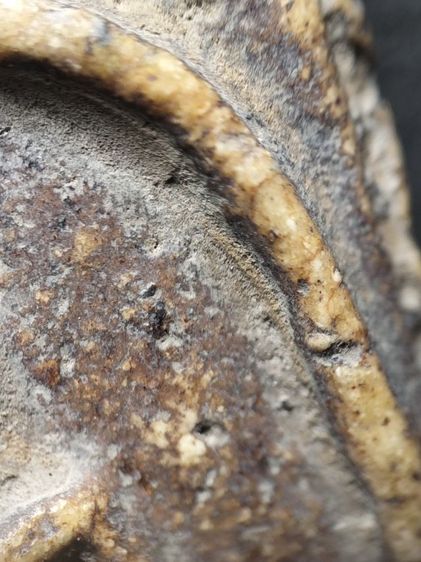 พระสมเด็จเก่าเก็บผิวหิ้งครับ รูปที่ 7