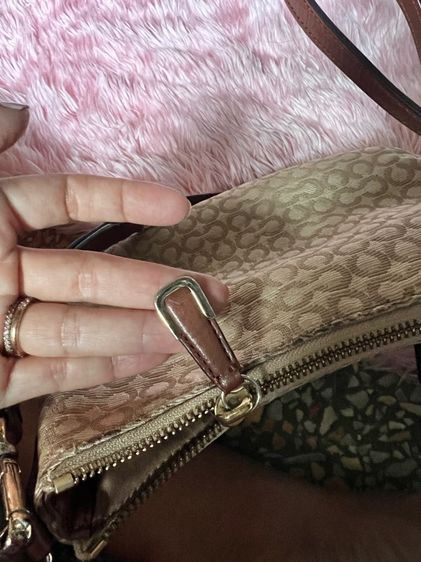 coach รูปที่ 10