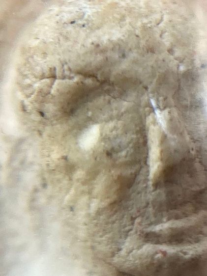 หลวงปู่ทวด วัดประสาทฯ ปี06 เนื้อขาวนิยมครับ รูปที่ 7