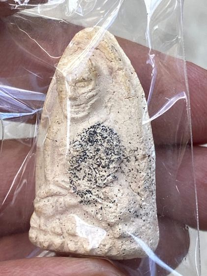 หลวงปู่ทวด วัดประสาทฯ ปี06 เนื้อขาวนิยมครับ รูปที่ 3