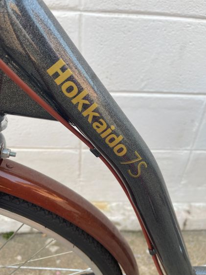 ขายถูก มือ 1 จักรยานแม่บ้าน Hokkidao 7s รูปที่ 5