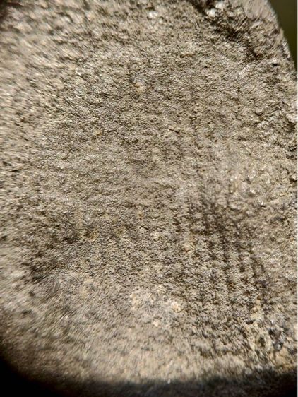 พระชินราช ใบเสมา พิมกลาง ฐานสูงบัว2ชั้น กรุวัดพระศรีรัตนมหาธาตุ จ.พิษณุโลก พุทธศตวรรษที่ 19 รูปที่ 7