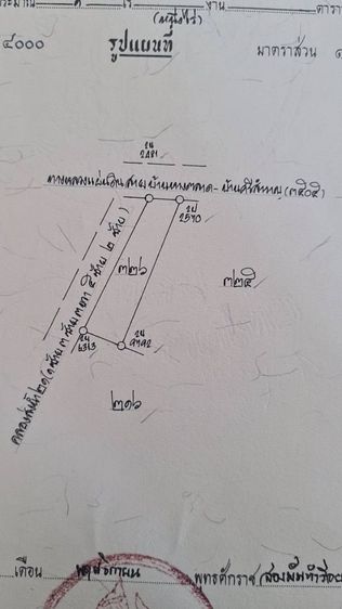 ขายที่ดิน สองพี่น้อง สุพรรณ รูปที่ 4