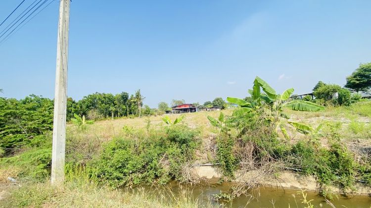 ขายที่ดิน สองพี่น้อง สุพรรณ รูปที่ 2