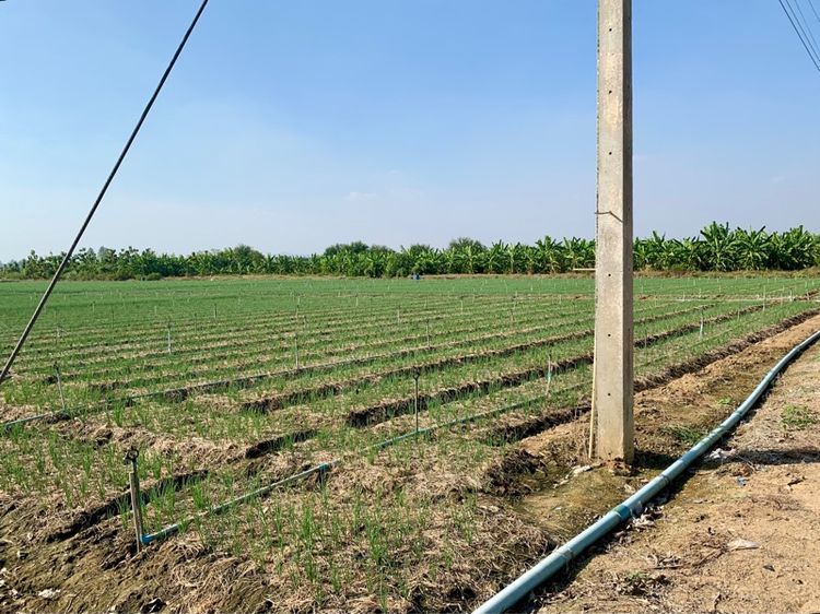 ที่ดินผืนใหญ่ทำเลดี10ไร่ โฉนดครุฑแดงพร้อมโอน ใกล้เทศบาลวังศาลา ท่าม่วง เข้าออกได้หลายทาง ติดถนนสาธารณะ ใกล้ทางด่วนM81 วิวสวย บรรยากาศดี