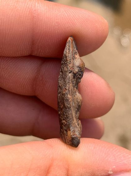 พระผงสุพรรณ รูปที่ 4